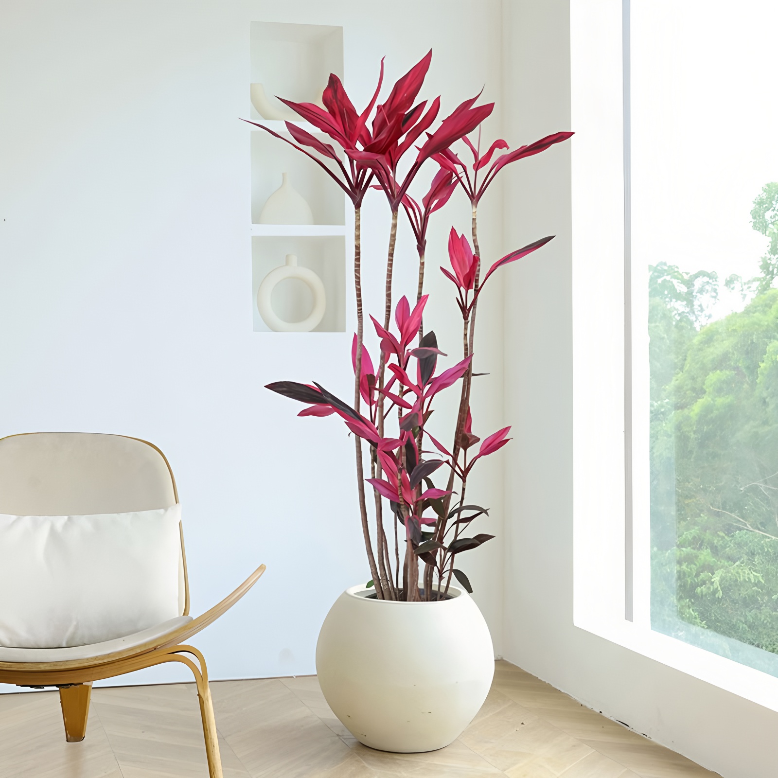 自定义高清放大 (1).jpg