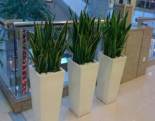 u=348440829,2470150730&fm=26&gp=0.jpg u=348440829,2470150730&fm=26&gp=0.jpg